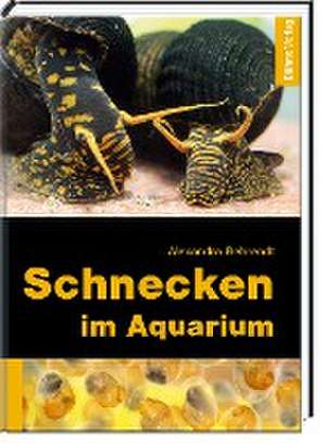 Schnecken im Aquarium de Alexandra Behrendt