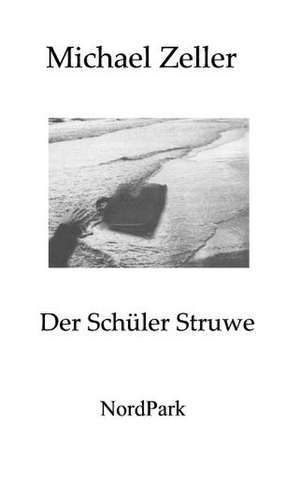 Der Schüler Struwe de Michael Zeller