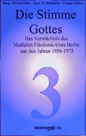 Die Stimme Gottes de Martin Fieber