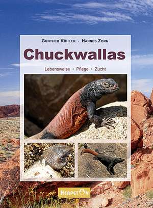 Chuckwallas de Gunther Köhler