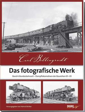 Das fotografische Werk 04 de Carl Bellingrodt