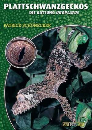 Plattschwanzgeckos de Patrick Schönecker