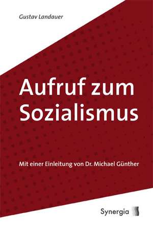 Aufruf zum Sozialismus de Gustav Landauer