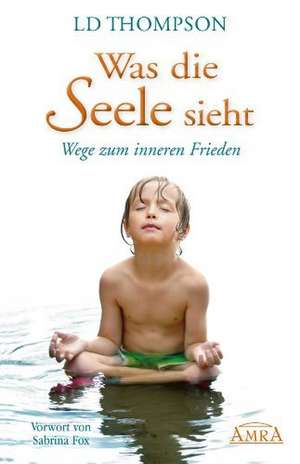 Was die Seele sieht. Wege zum inneren Frieden de LD Thompson