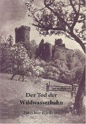 Der Tod der Wildwasserbahn de Thea Merkelbach