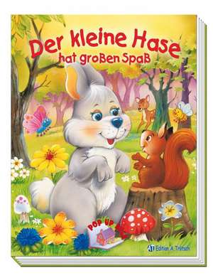 Pop-up-Buch Der kleine Hase de Andreas Trötsch