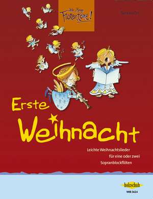 Erste Weihnacht de Barbara Ertl