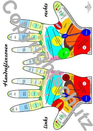 Handreflexzonenübersicht de Tanja Aeckersberg