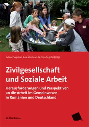 Zivilgesellschaft und Soziale Arbeit de Christina Baciu