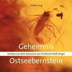 Geheimnis Ostseebernstein de Dieter Jung