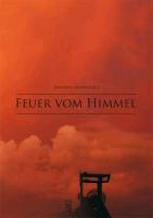 Feuer vom Himmel de Johannes Knippschild