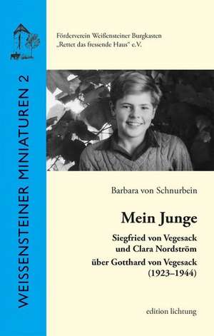 Mein Junge de Barbara von Schnurbein