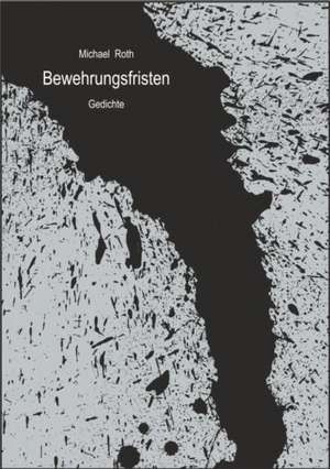 Bewehrungsfristen de Michael Roth