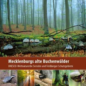 Borrmann, K: Mecklenburgs alte Buchenwälder