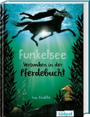 Funkelsee - Versunken in der Pferdebucht de Ina Krabbe