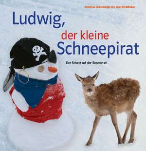 Ludwig, der kleine Schneepirat de Dorothea Dattenberger