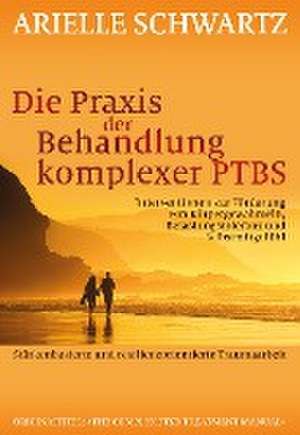 Die Praxis der Behandlung komplexer PTBS de Arielle Schwartz