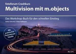 Crashkurs Multivision mit m.objects de Peter Hoffmann