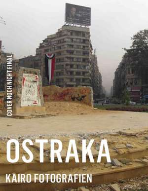 Ostraka de Roshanak Zangeneh