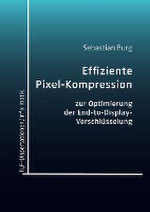 Effiziente Pixel-Kompression zur Optimierung der End-to-Display-Verschlüsselung de Sebastian Burg