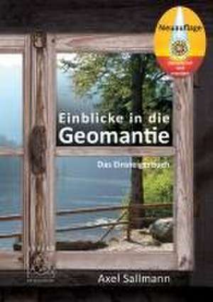 Einblicke in die Geomantie - Das Einsteigerbuch de Axel Sallmann