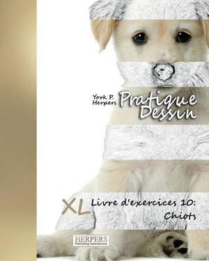 Pratique Dessin - XL Livre D'Exercices 10 de York P. Herpers