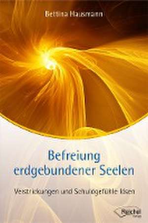 Befreiung erdgebundener Seelen de Bettina Hausmann