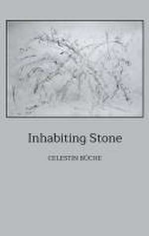 Inhabiting Stone de Celestin Büche