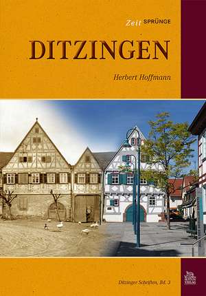 Zeitsprünge Ditzingen de Herbert Hoffmann