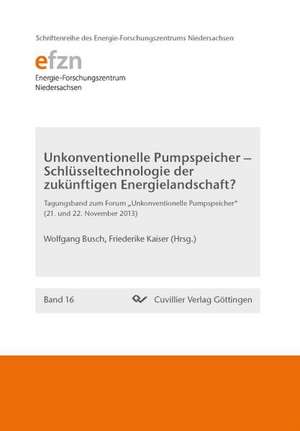 Unkonventionelle Pumpspeicher ¿ Schlüsseltechnologie der zukünftigen Energielandschaft? (Band 16). Tagungsband zum Forum ¿Unkonventionelle Pumpspeicher¿ (21. und 22. November 2013) de Friederike Kaiser