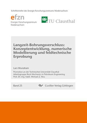 Langzeit-Bohrungsverschluss: Konzeptentwicklung, numerische Modellierung und feldtechnische Erprobung de Lars Wundram