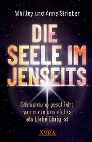 DIE SEELE IM JENSEITS de Whitley Strieber