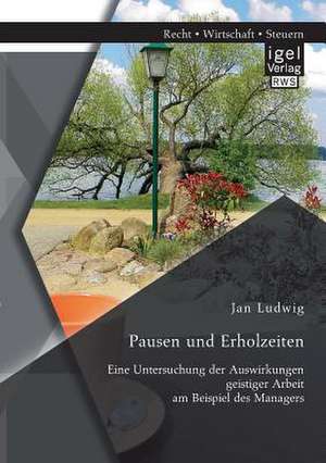 Pausen Und Erholzeiten: Eine Untersuchung Der Auswirkungen Geistiger Arbeit Am Beispiel Des Managers de Jan Ludwig