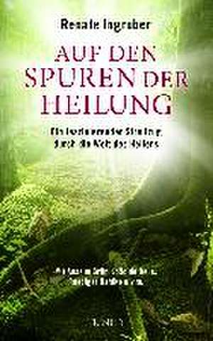 Auf den Spuren der Heilung de Renate Ingruber