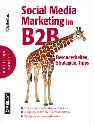 Social Media Marketing im B2B de Felix Beilharz