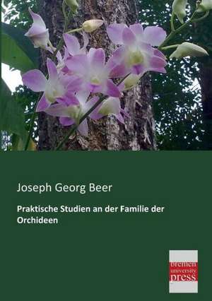 Praktische Studien an der Familie der Orchideen de Joseph Georg Beer