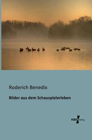 Bilder aus dem Schauspielerleben de Roderich Benedix