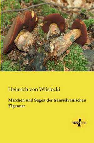 Märchen und Sagen der transsilvanischen Zigeuner de Heinrich Von Wlislocki