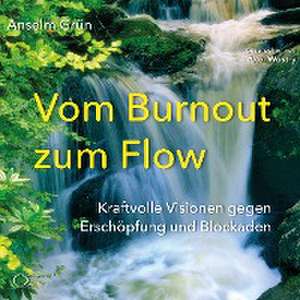 Vom Burnout zum Flow de Anselm Grün