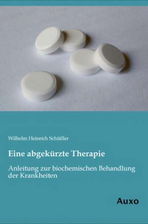 Eine abgekürzte Therapie de Wilhelm Heinrich Schüßler