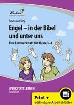 Engel - in der Bibel und unter uns de Anastasia Stey