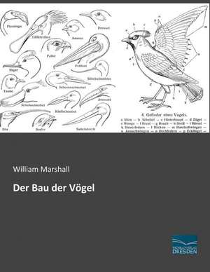 Der Bau der Vögel de William Marshall