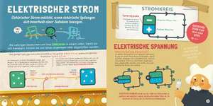 Professor Albert und die faszinierende Welt der Elektrizität de Sheddad Kaid-Salah Ferrón