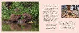 Wilde Elbe de Gesellschaft für Naturfotografie e. V.