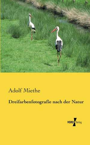 Dreifarbenfotografie nach der Natur de Adolf Miethe