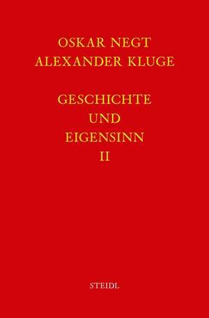 Werkausgabe Bd. 6.2 / Geschichte und Eigensinn II: Deutschland als Produktionsöffentlichkeit de Oskar Negt