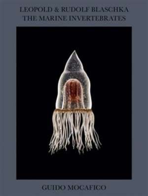 Leopold & Rudolf Blaschka. The Marine Invertebrates de Guido Mocafico