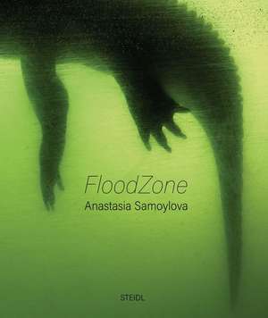 FloodZone de Anastasia Samoylova