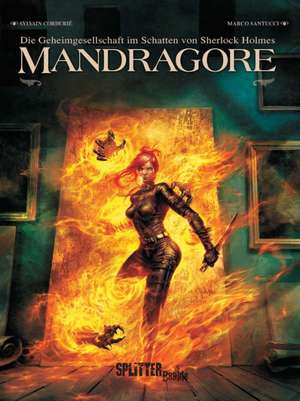 Mandragore de Sylvain Corduriè
