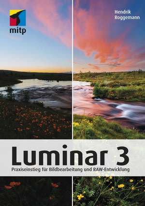 Luminar 3 de Hendrik Roggemann